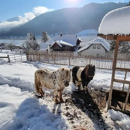 펜션 Seeblick Kaernten *